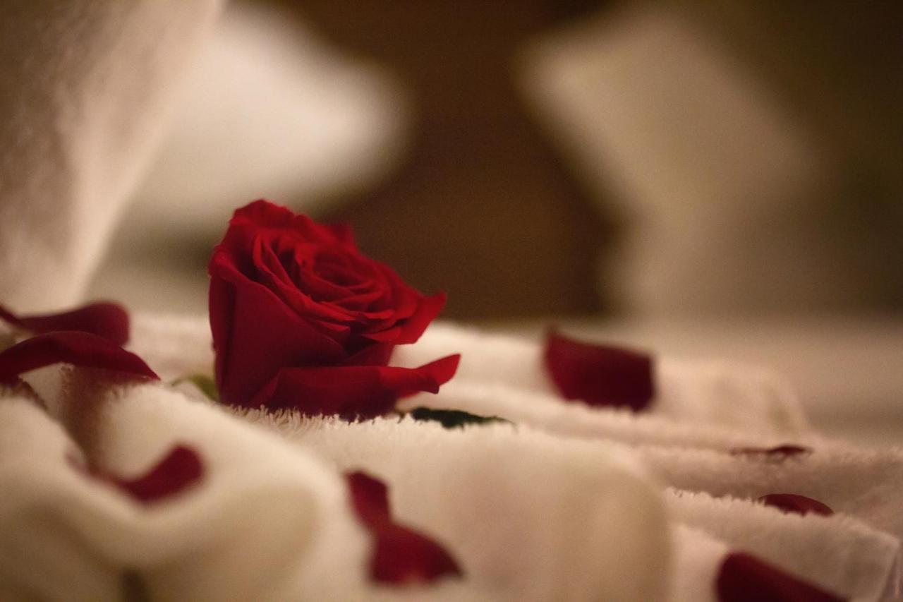 Al Safwah Orchid Hotel La Mecque Extérieur photo A rose